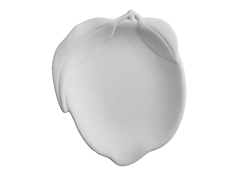 🍋 Lemon Dish - Image 2