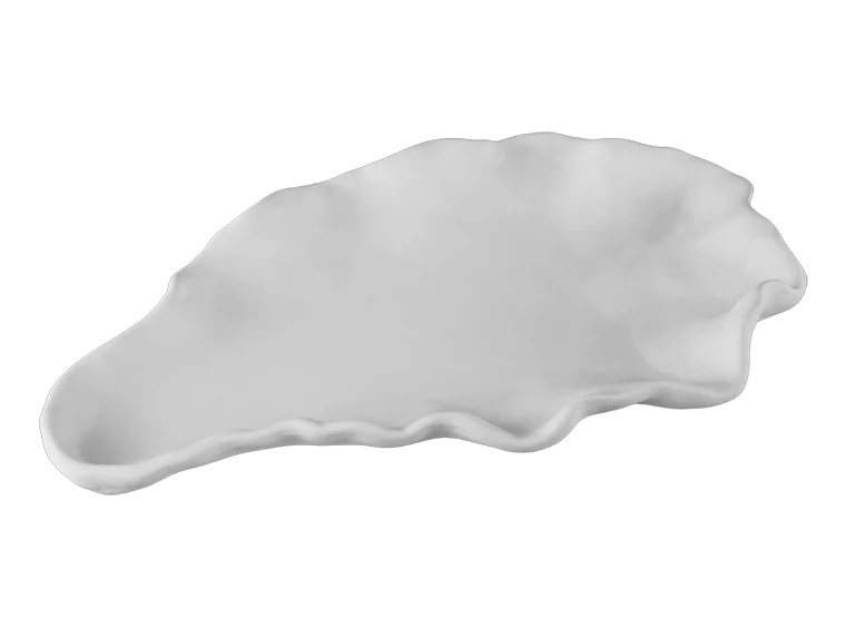 🦞 Oyster Shell Platter - Image 2