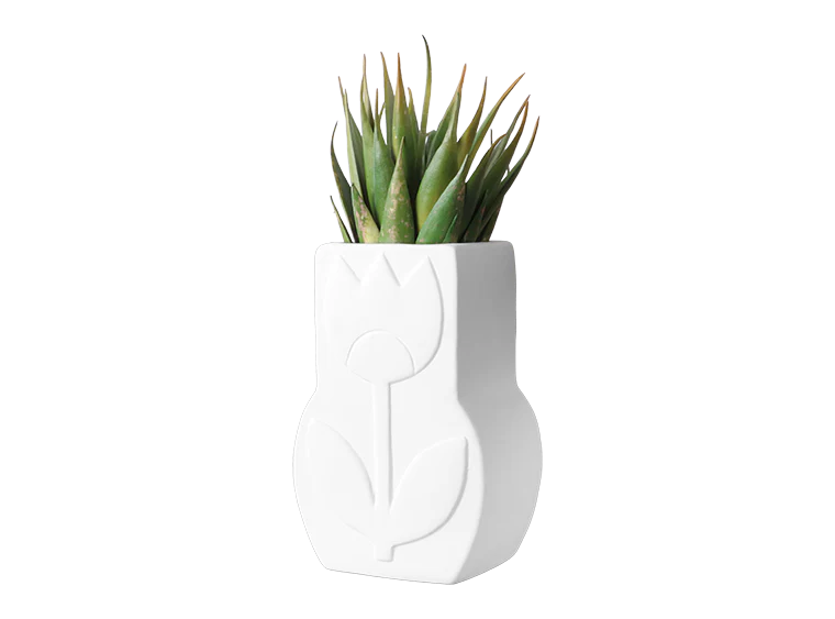 🐸 Tulip Vase