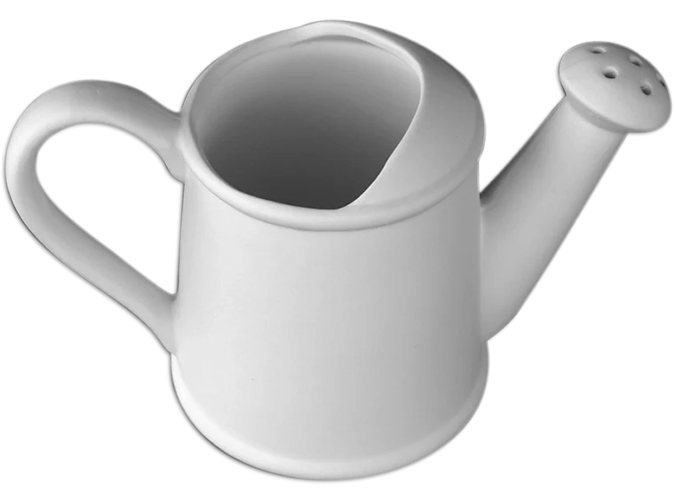 🐸 Watering Can - Image 2